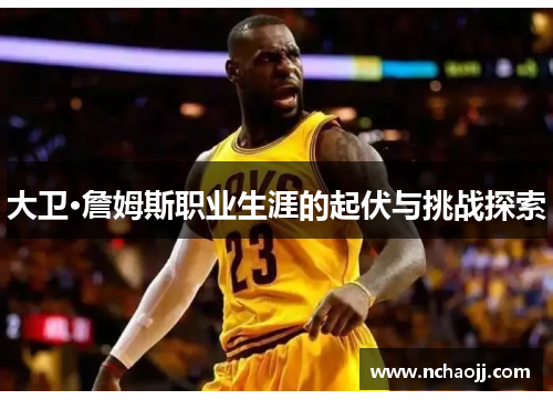 大卫·詹姆斯职业生涯的起伏与挑战探索